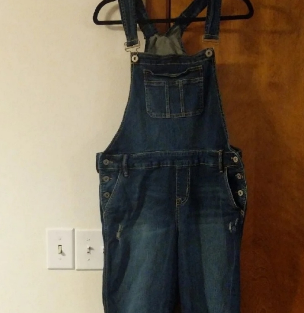 NWT Women's Torrid Overalls